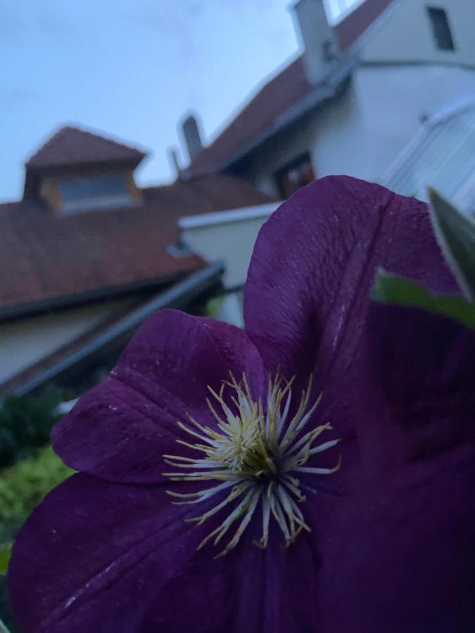 Gasthof Zum Mohrn Oberwoelz Stadt Bagian luar foto
